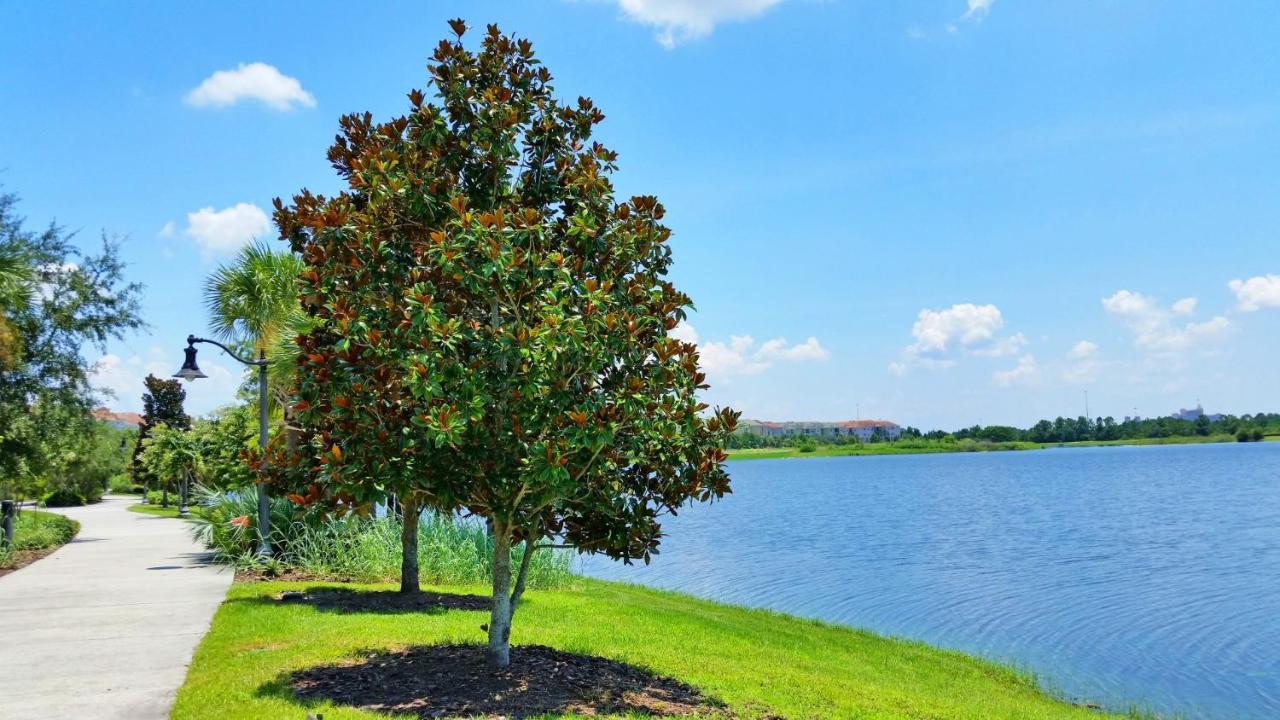 5025 Shoreway Loop #203 Orlando Kültér fotó